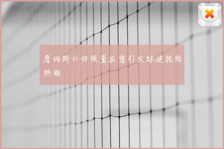 詹姆斯公仔限量发售引发球迷抢购热潮