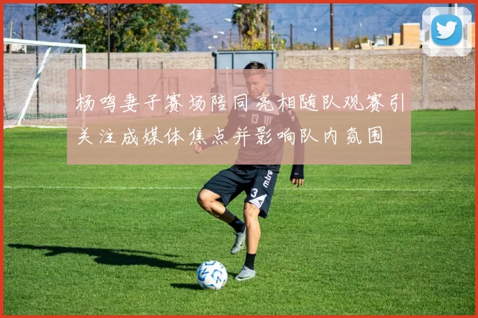 杨鸣妻子赛场陪同亮相随队观赛引关注成媒体焦点并影响队内氛围