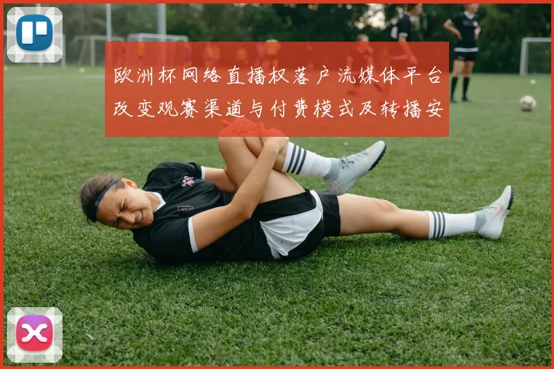 欧洲杯网络直播权落户流媒体平台改变观赛渠道与付费模式及转播安排